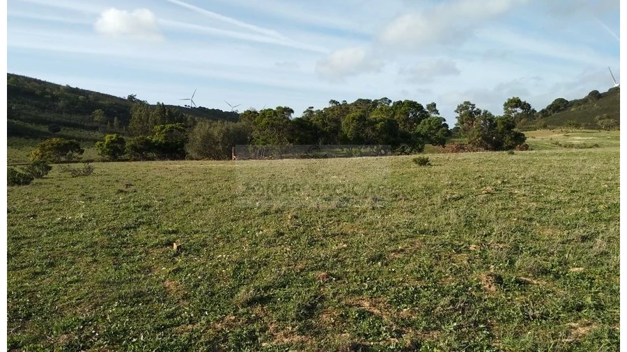 Terreno para Venda em Barão de São Miguel