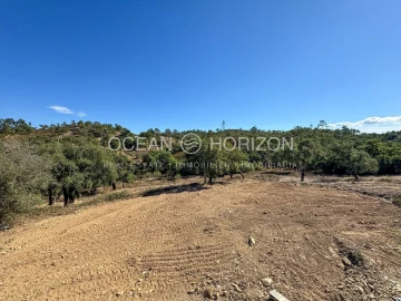 Moradia T2 para Venda em Salir