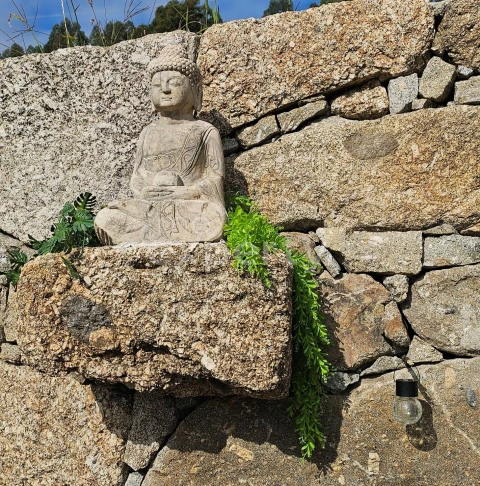 Quinta T5 para Venda em Termas de São Vicente