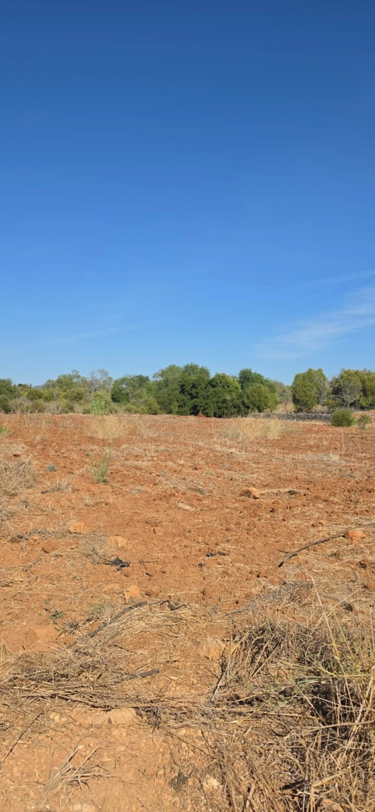 Terreno para Venda em Silves Foto 5