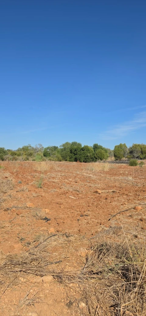 Terreno para Venda em Silves