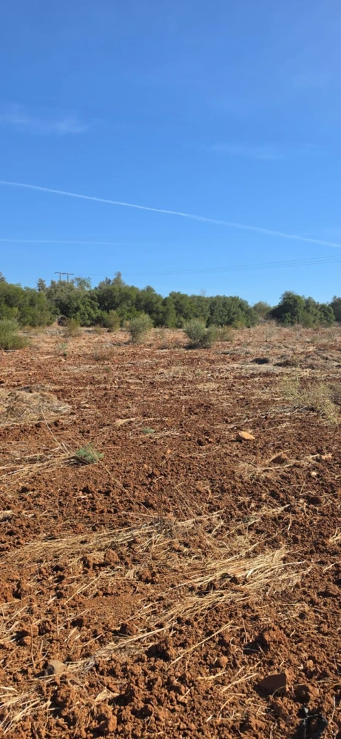 Terreno para Venda em Silves