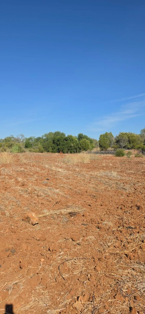 Terreno para Venda em Silves