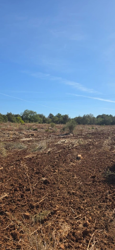 Terreno para Venda em Silves