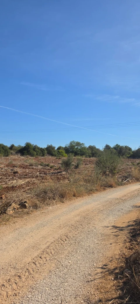 Terreno para Venda em Silves