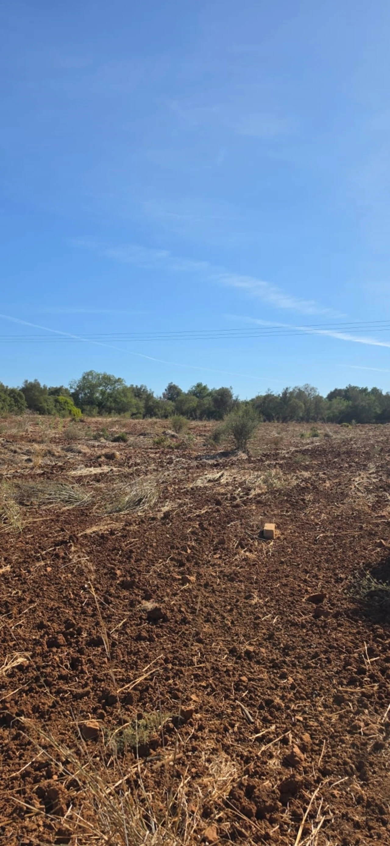 Terreno para Venda em Silves Foto 3