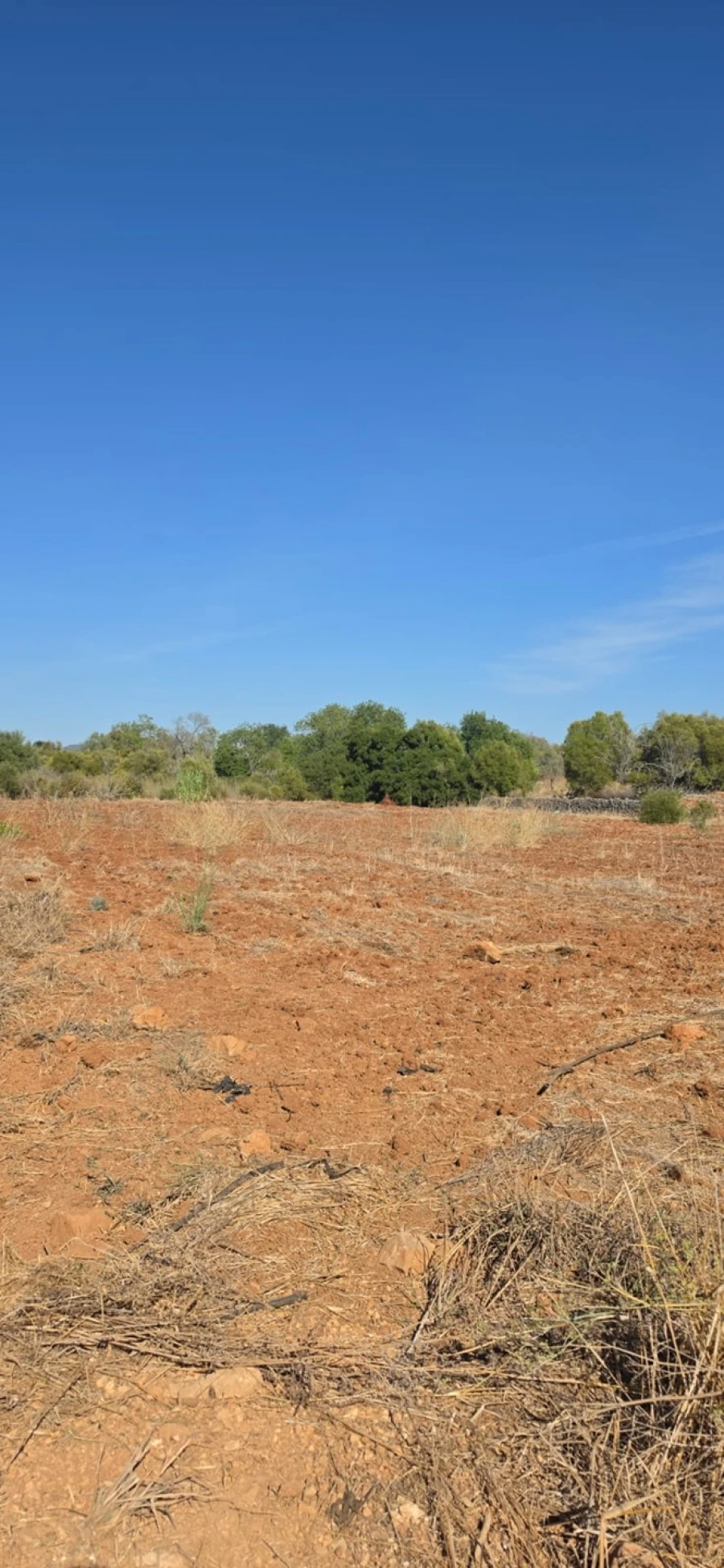 Terreno para Venda em Silves Foto 5