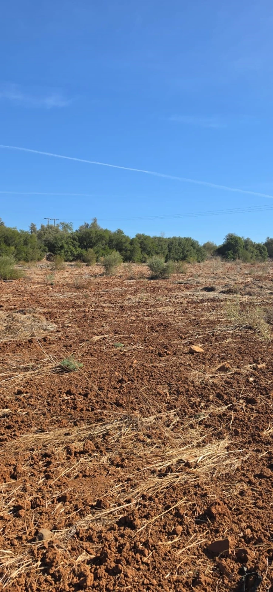 Terreno para Venda em Silves Foto 2