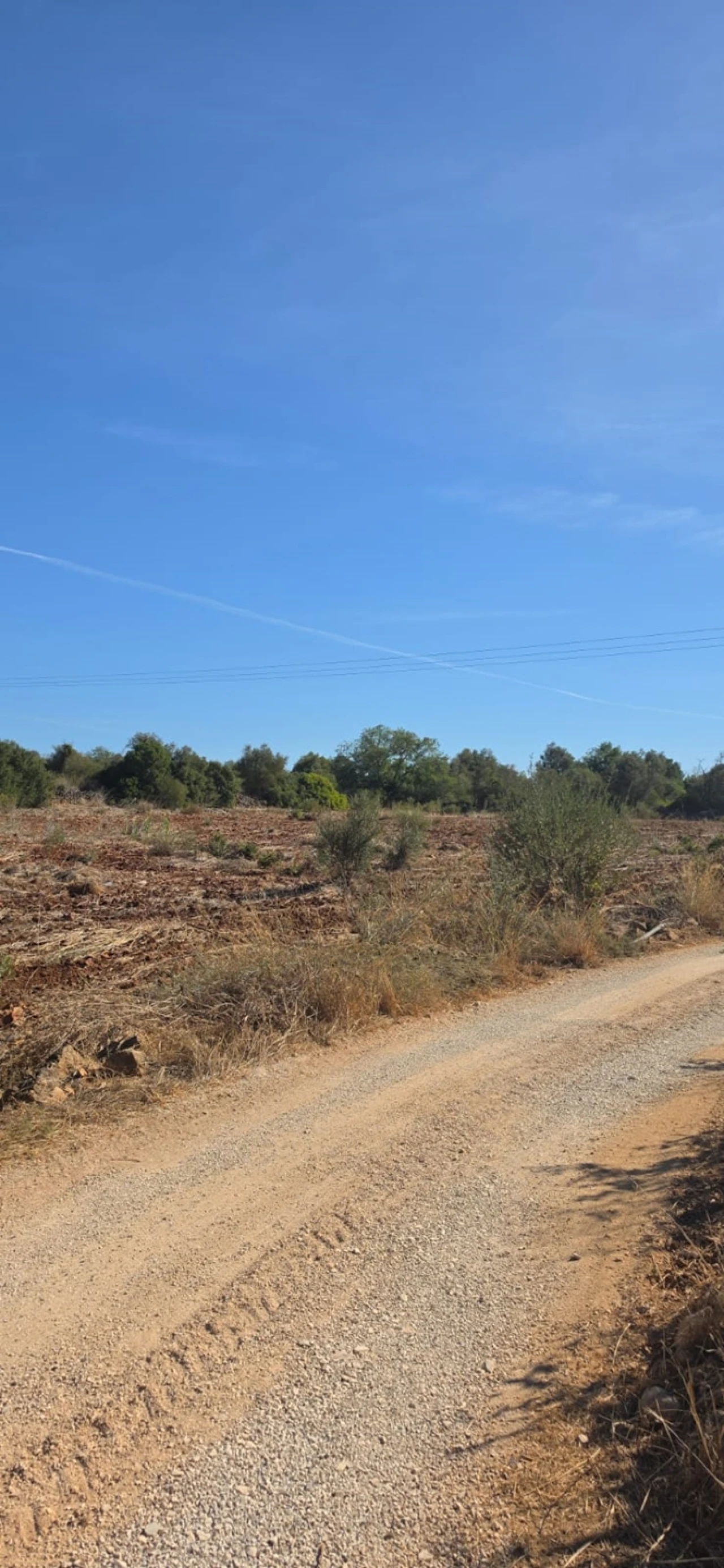 Terreno para Venda em Silves Foto 4