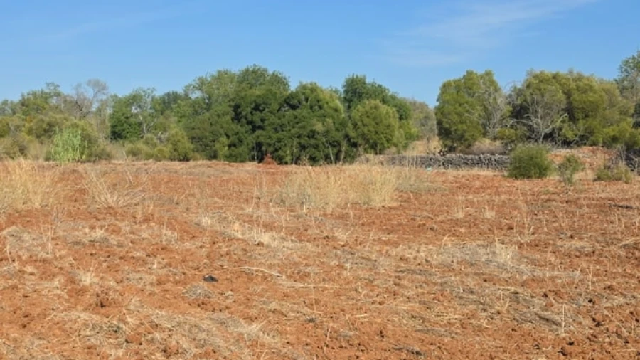 Terreno para Venda em Silves