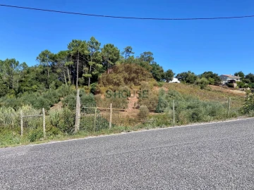 Terreno para Venda em Alvorninha