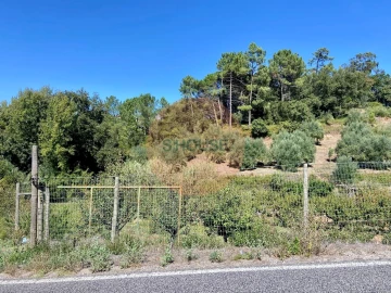 Terreno para Venda em Alvorninha