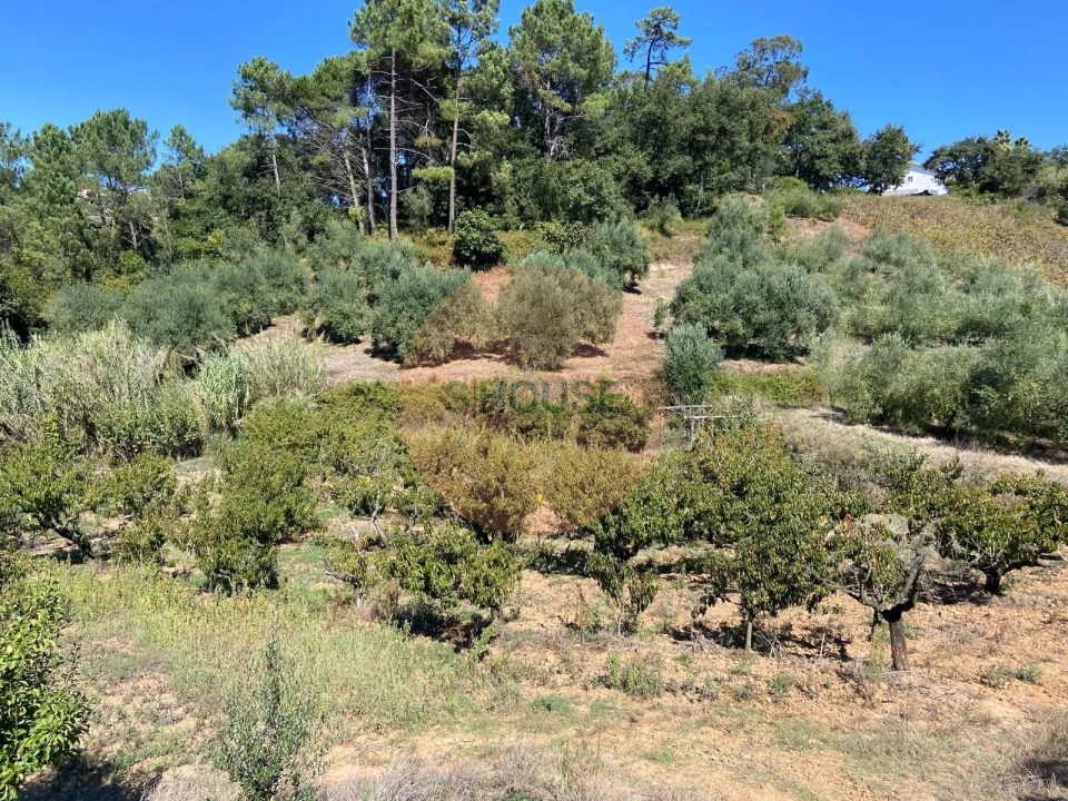 Terreno para Venda em Alvorninha Foto 8
