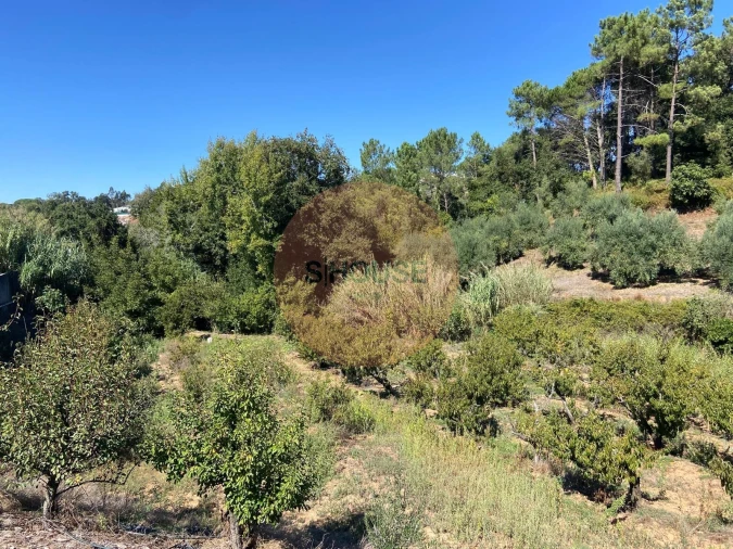 Terreno para Venda em Alvorninha Foto 11