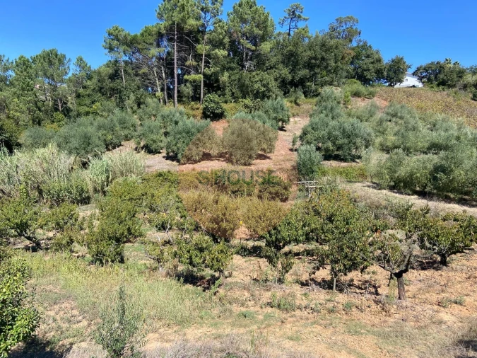 Terreno para Venda em Alvorninha Foto 8