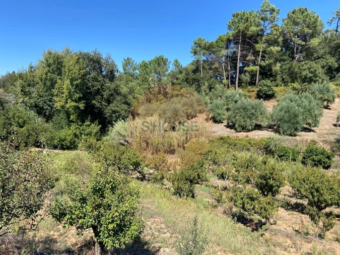 Terreno para Venda em Alvorninha Foto 6