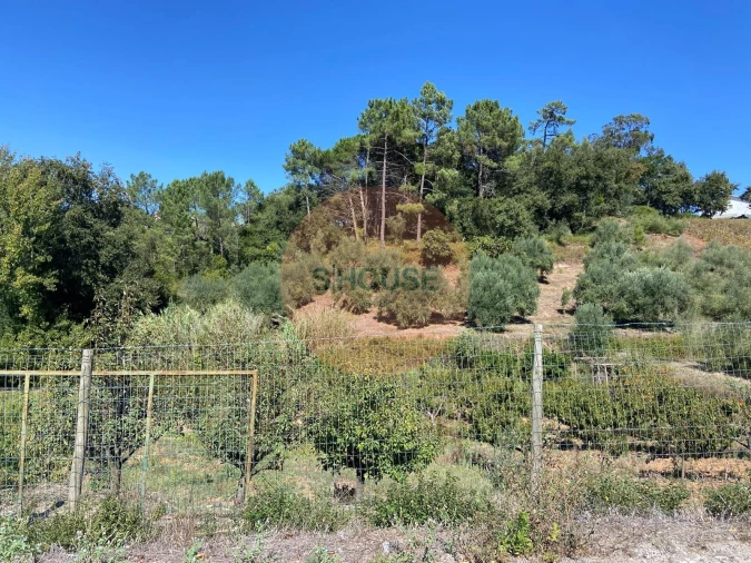 Terreno para Venda em Alvorninha Foto 3