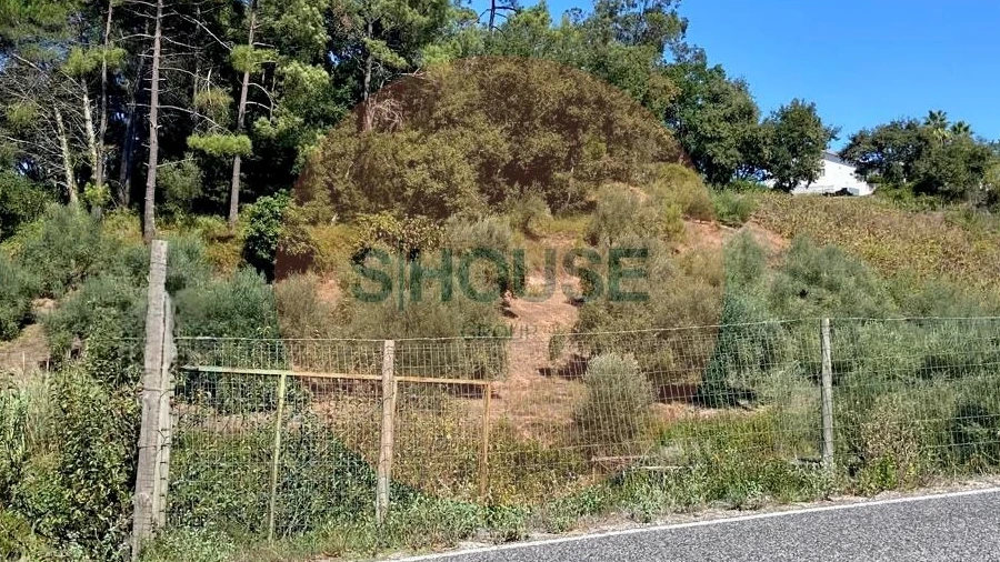 Terreno para Venda em Alvorninha