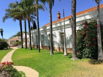 Quinta T6 para Venda em Aguada de Cima