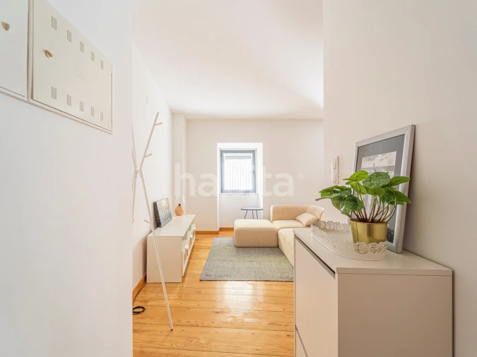Apartamento T1 para Venda em Santo António Foto 2