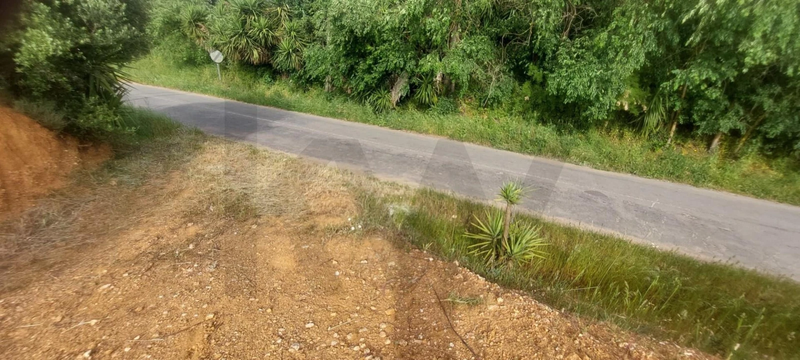 Terreno para Venda em Garvão e Santa Luzia Foto 13