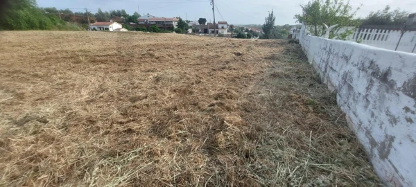 Terreno para Venda em Garvão e Santa Luzia