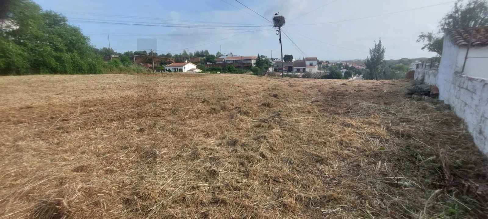Terreno para Venda em Garvão e Santa Luzia Foto 24