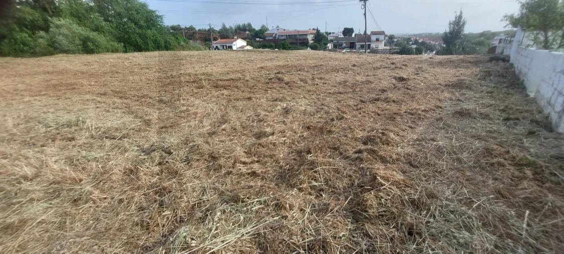 Terreno para Venda em Garvão e Santa Luzia Foto 22