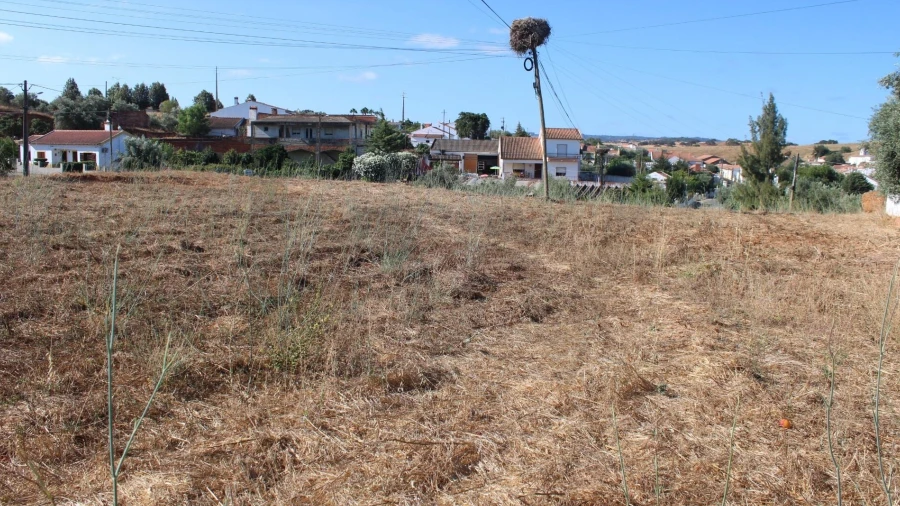Terreno para Venda em Garvão e Santa Luzia