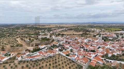 Quinta T10 para Venda em Veiros