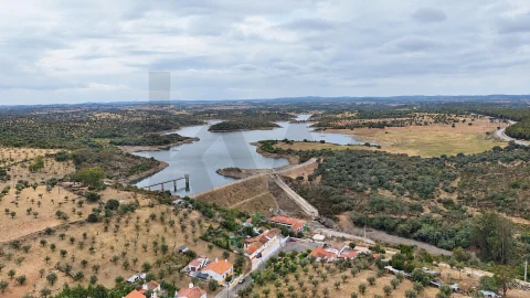 Quinta T10 para Venda em Veiros