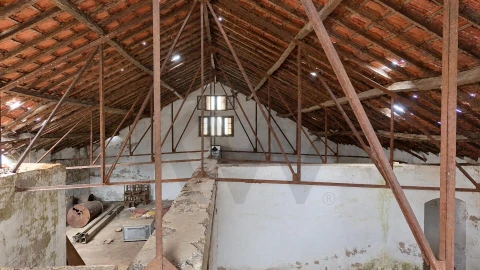 Quinta T10 para Venda em Veiros