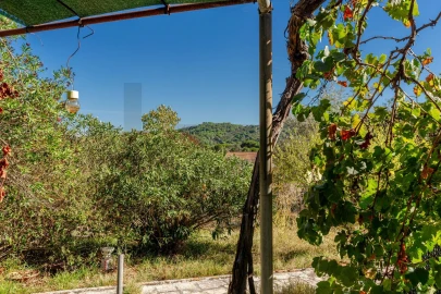 Moradia T4 para Venda em Quinta do Anjo