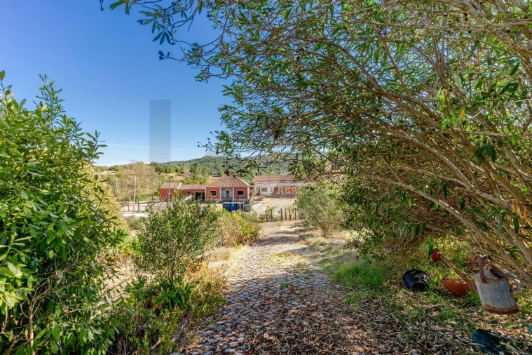 Moradia T4 para Venda em Quinta do Anjo Foto 50