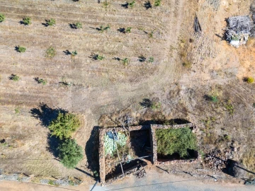 Negócio para Venda em Pedrógão de São Pedro e Bemposta