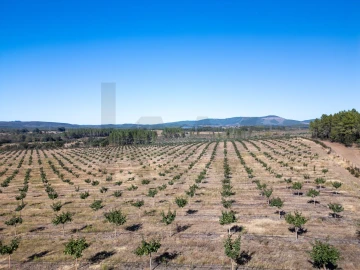 Negócio para Venda em Pedrógão de São Pedro e Bemposta