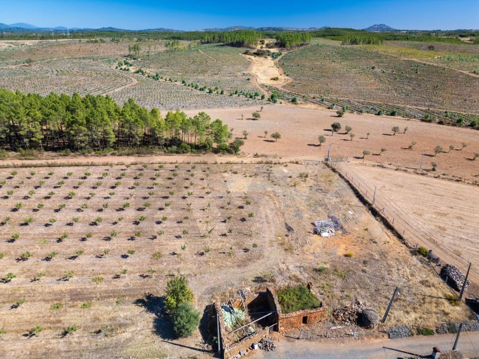 Negócio para Venda em Pedrógão de São Pedro e Bemposta Foto 4