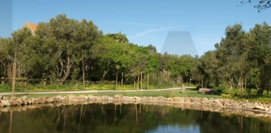 Terreno para Venda em Cascais e Estoril