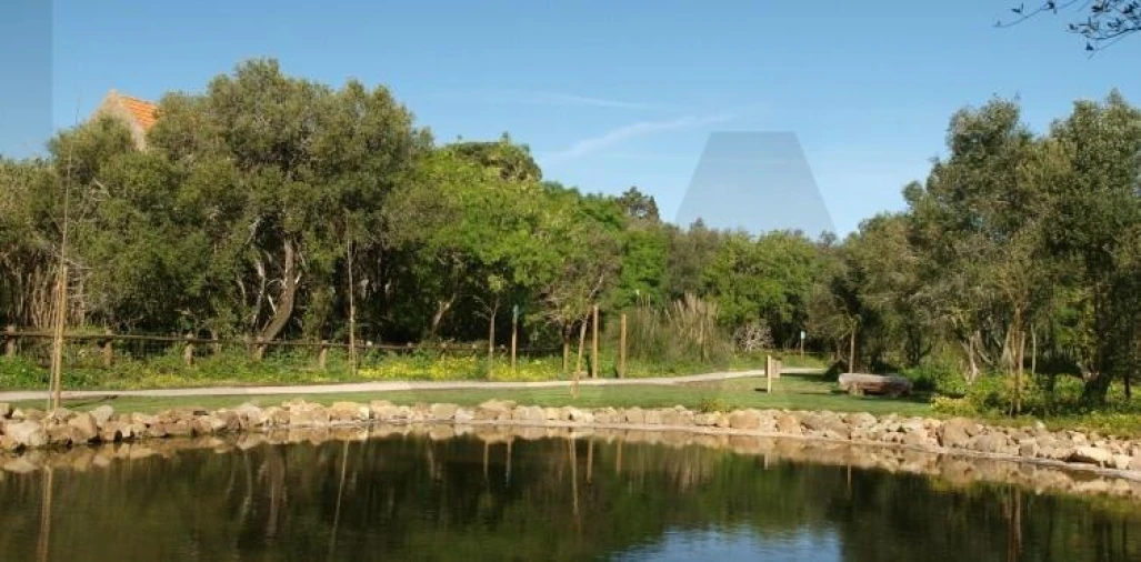Terreno para Venda em Cascais e Estoril Foto 8