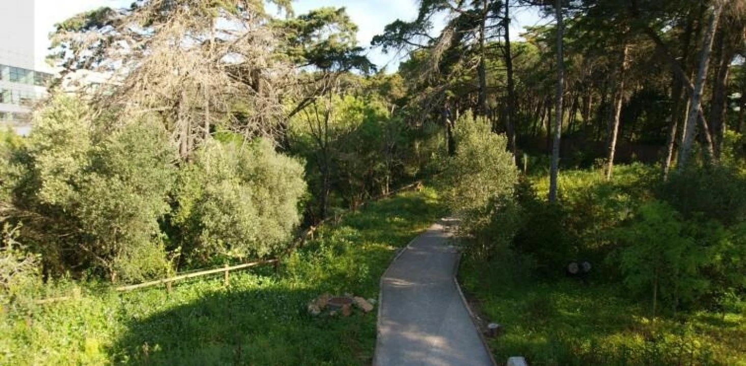 Terreno para Venda em Cascais e Estoril Foto 7