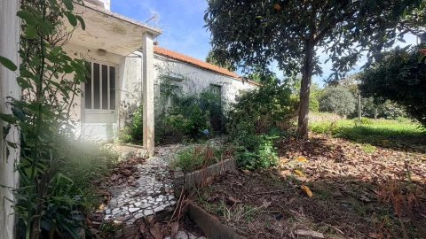 Moradia T2 para Venda em Caldas de São Jorge e Pigeiros