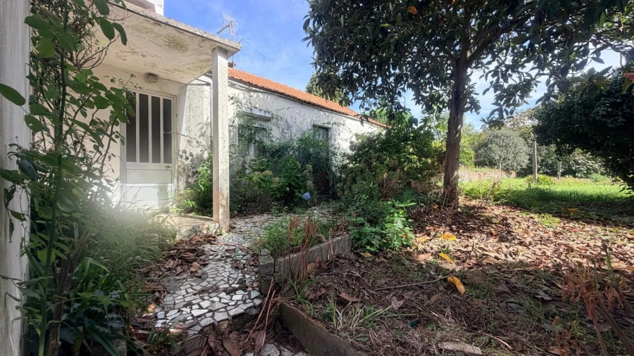 Moradia T2 para Venda em Caldas de São Jorge e Pigeiros Foto 21