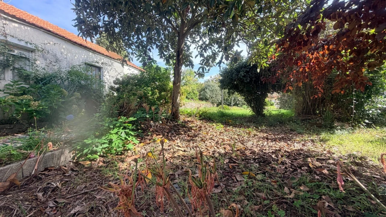 Moradia T2 para Venda em Caldas de São Jorge e Pigeiros Foto 20