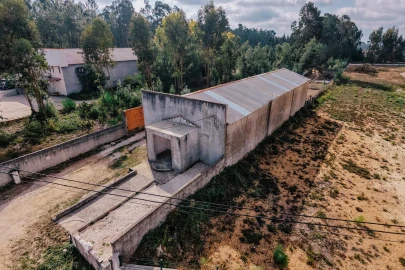 Armazém para Venda em Avelãs de Caminho