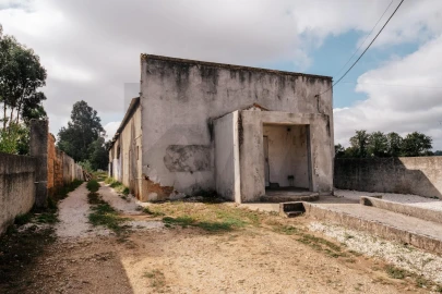 Armazém para Venda em Avelãs de Caminho