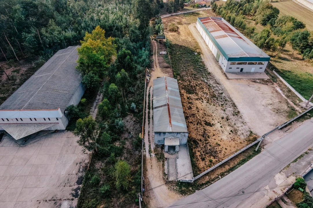 Armazém para Venda em Avelãs de Caminho Foto 2