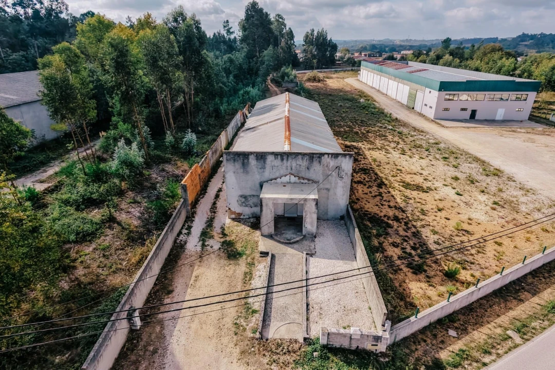 Armazém para Venda em Avelãs de Caminho Foto 5