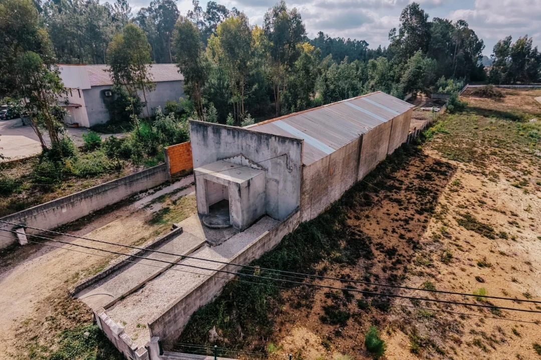 Armazém para Venda em Avelãs de Caminho Foto 6