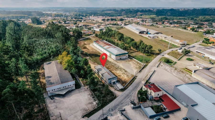 Armazém para Venda em Avelãs de Caminho