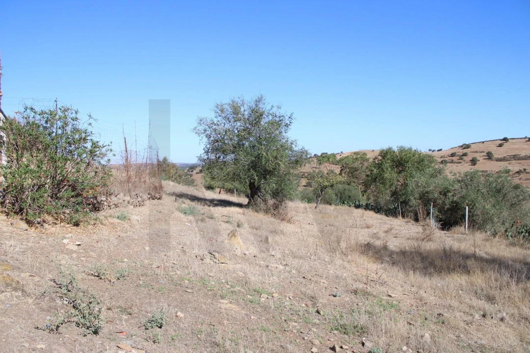 Moradia para Venda em Almodôvar e Graça dos Padrões Foto 54